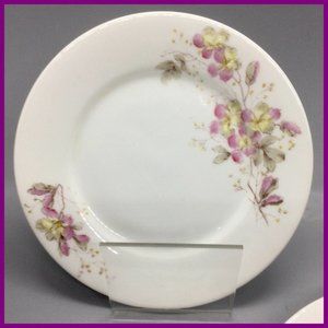 2 Antique Austrian DESSERT PLATES